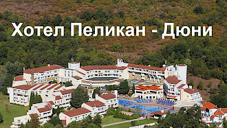 Пеликан