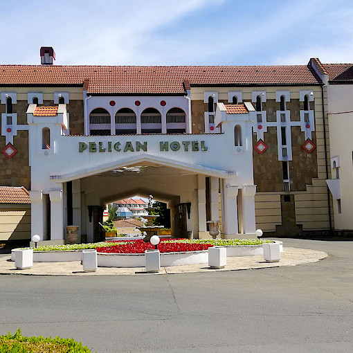 Пеликан